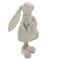 14.5&#x22; Standing Girl Easter Bunny Rabbit Spring Figure
